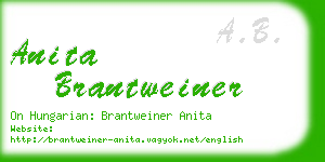 anita brantweiner business card